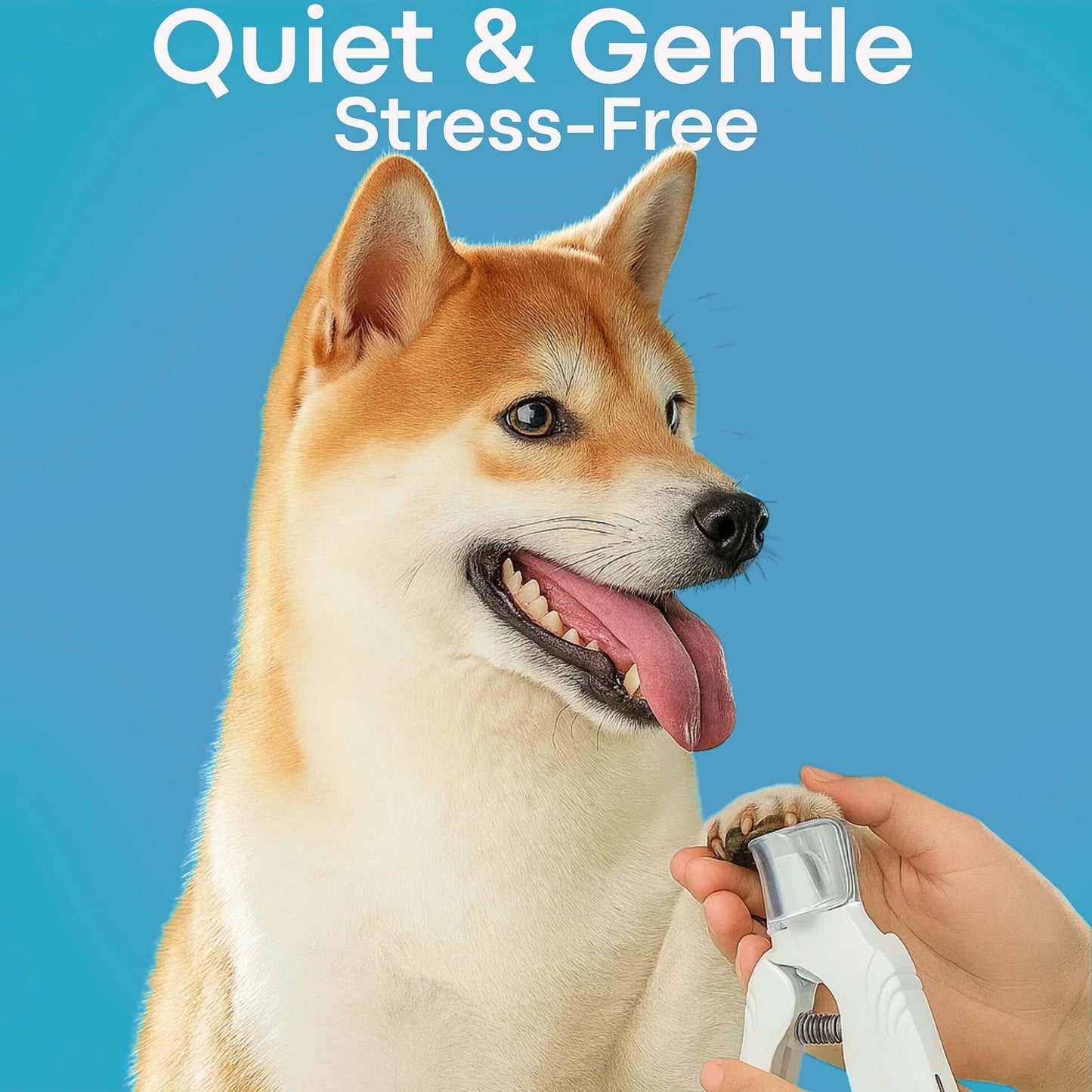 The PawSafe™ By Pawrey