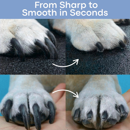 The PawSafe™ By Pawrey